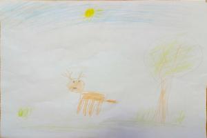 «Зелена країна для кожного з нас», учні Кодрянського НВО