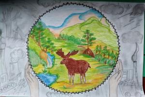 Курята Артем, учень 7класу, Тетерівська ЗОШ І-ІІІ ступенів імені Ніни Сосніної